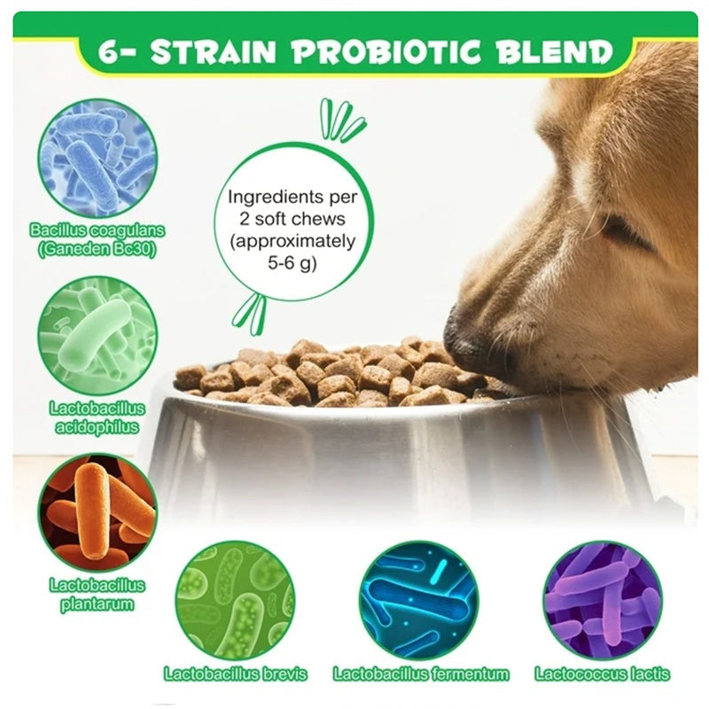 KFX-2977213 Probiotics Chews for Pets - Supports Digestive Health for Dogs, Promotes Healthy Gut Function