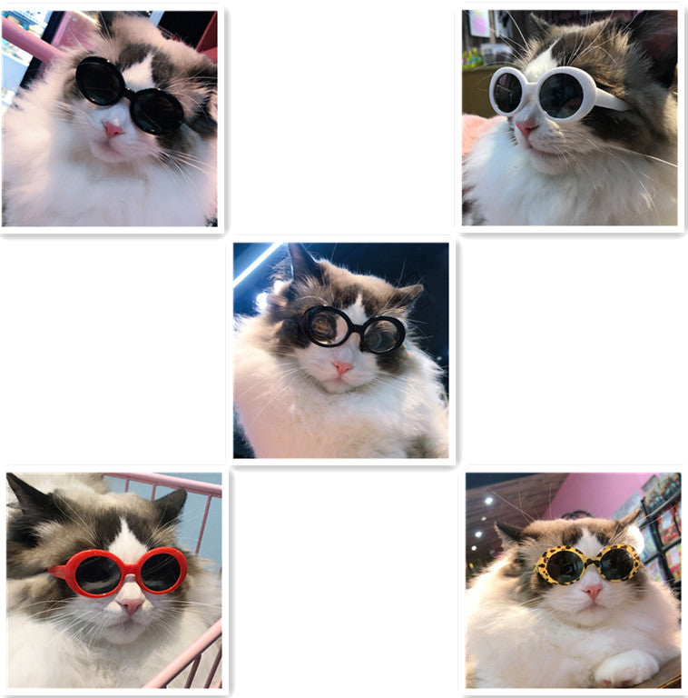 KFX-2978749 Multi-Color Round Frame Sunglasses for Dogs and Cats - UV380 Protection