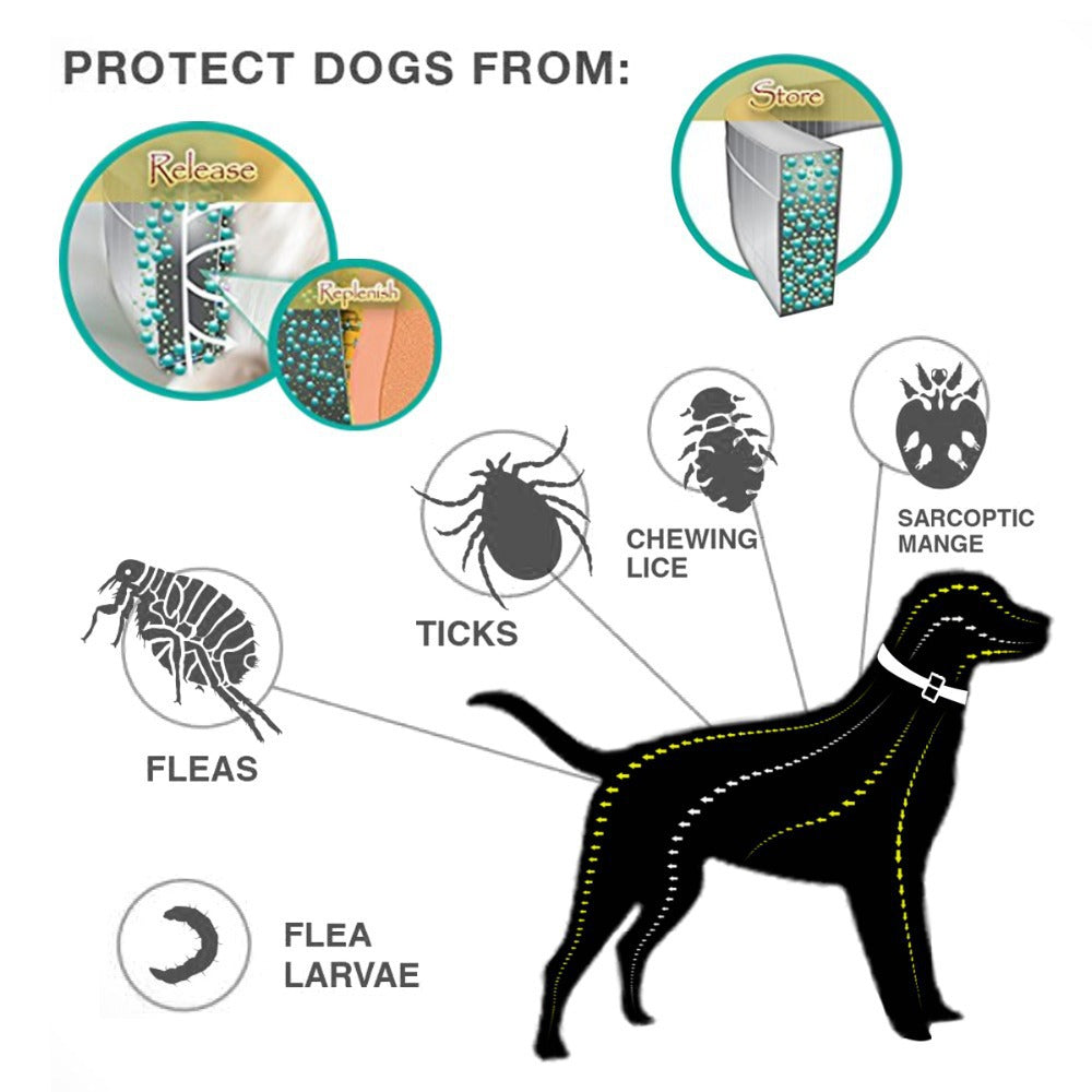 KFX-2979133 Waterproof Adjustable Insect Repellent Collar for Flea and Tick Protection - 70cm Gray Plastic