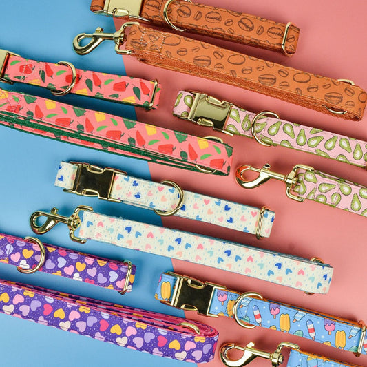 KFX-2980925 Double-sided Pet Collar with Haulage Rope in Various Fun Colors for Dogs and Cats