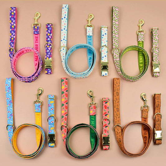 KFX-2980925 Double-sided Pet Collar with Haulage Rope in Various Fun Colors for Dogs and Cats