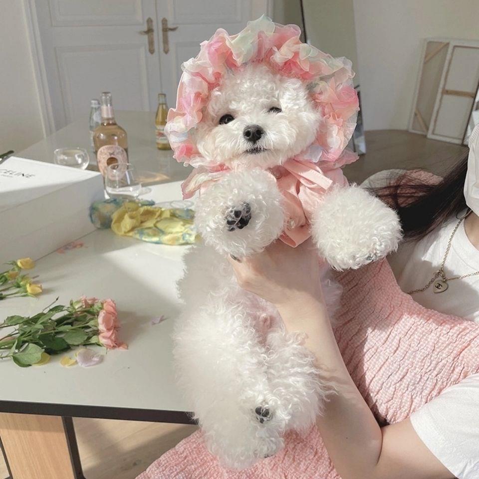 KFX-2983485 Lemon Yellow, Light Shrimp Powder & Lavender Mesh Dog Skirt with Matching Hat