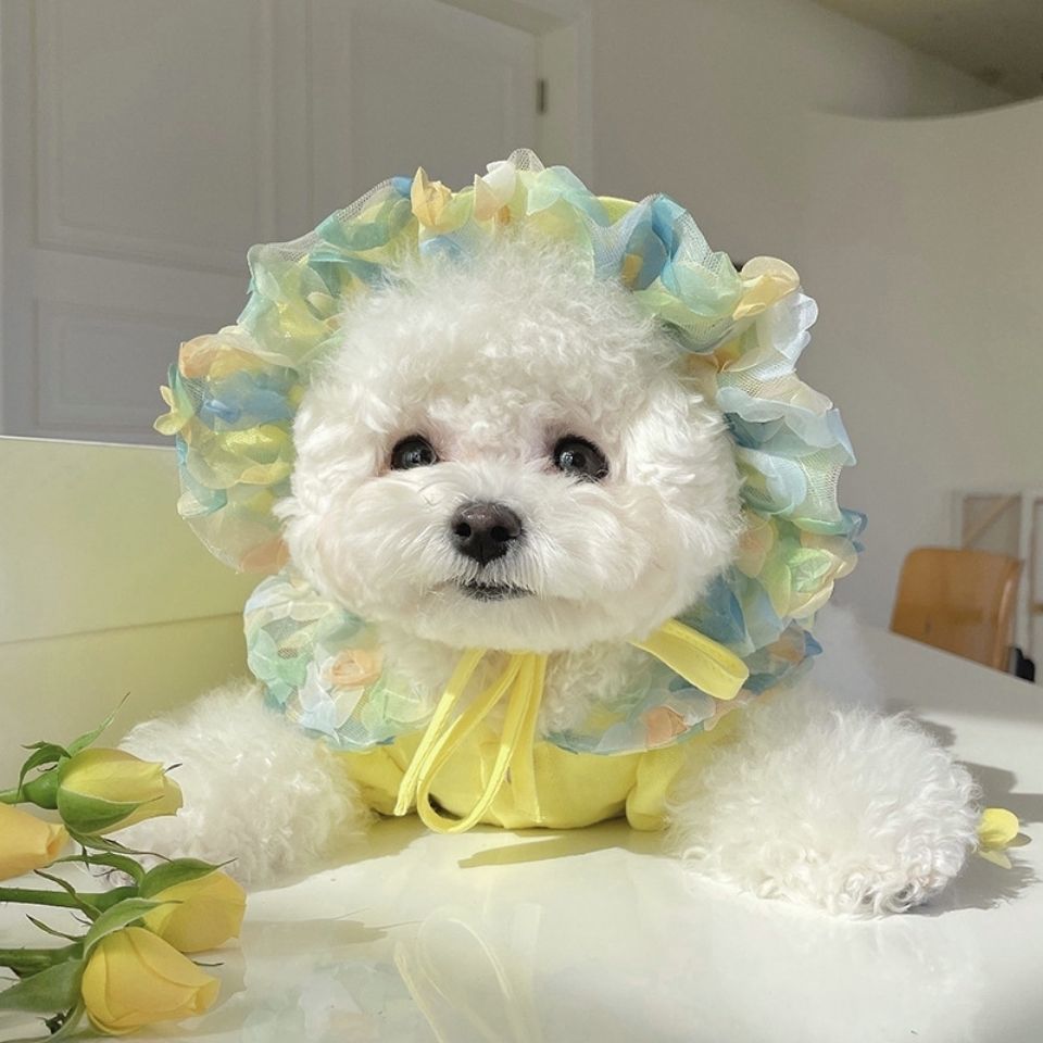KFX-2983485 Lemon Yellow, Light Shrimp Powder & Lavender Mesh Dog Skirt with Matching Hat