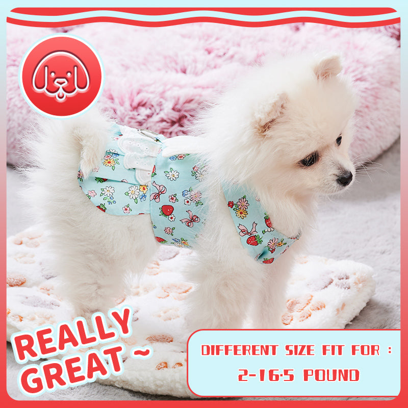 KFX-2984381 Charming Dog Harness Dress with Leash Set for Small Breeds, Featuring Angel Wings Design