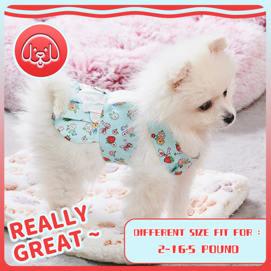 KFX-2984381 Charming Dog Harness Dress with Leash Set for Small Breeds, Featuring Angel Wings Design