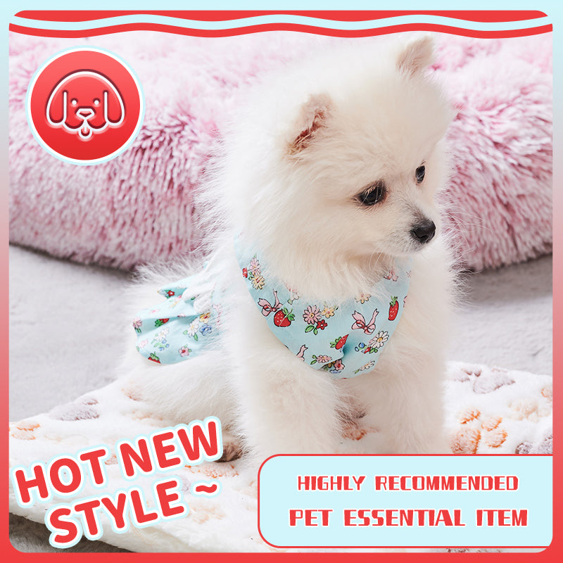 KFX-2984381 Charming Dog Harness Dress with Leash Set for Small Breeds, Featuring Angel Wings Design