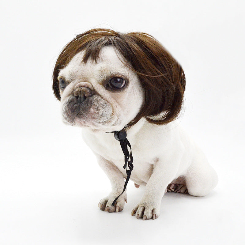 KFX-2984509 Pet Cosplay Wig Tool – Polyester, Free Size for All Dog Breeds, 45g Weight