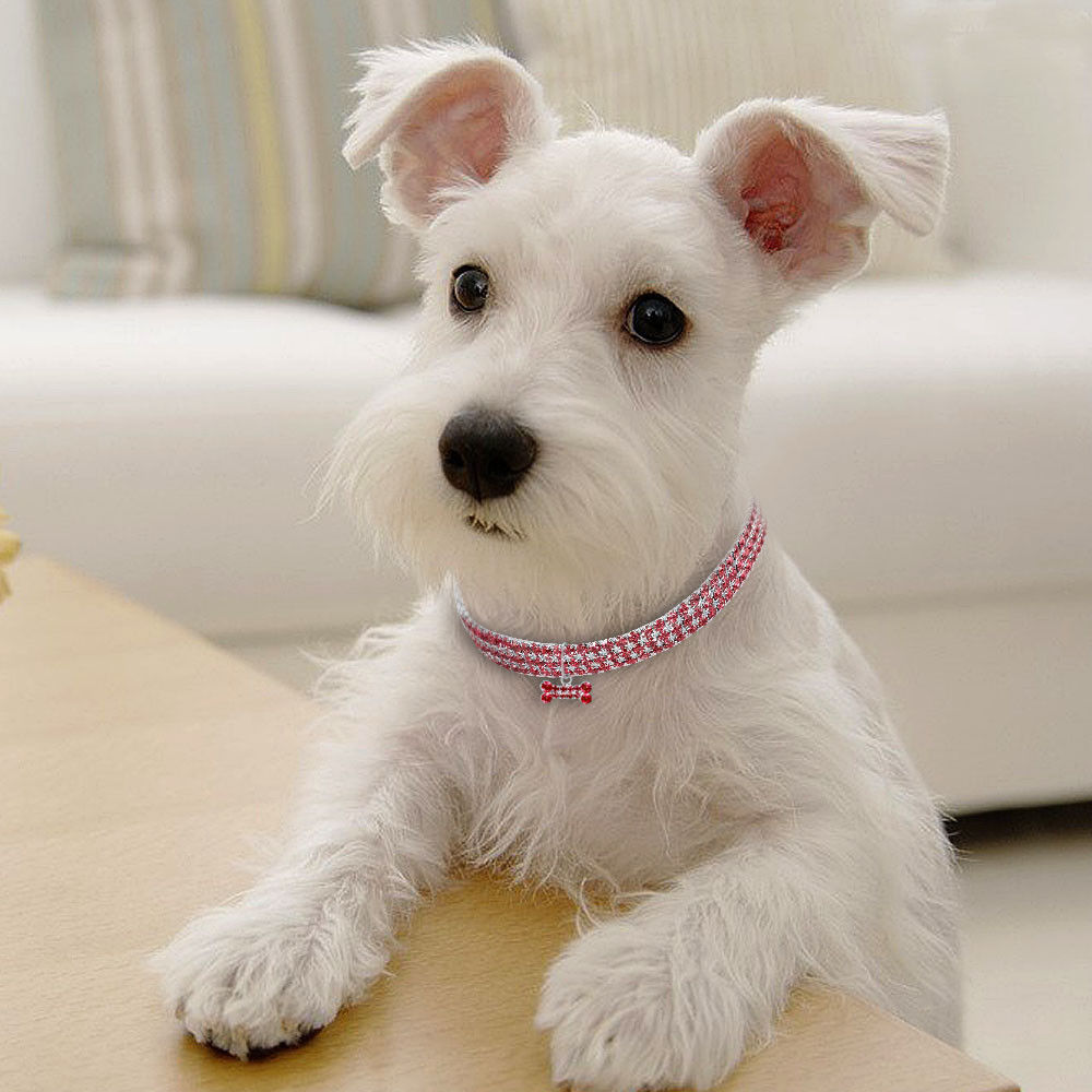 KFX-2984893 Bling Rhinestone Adjustable Dog and Cat Collar with Metal Pendant for Small Pets