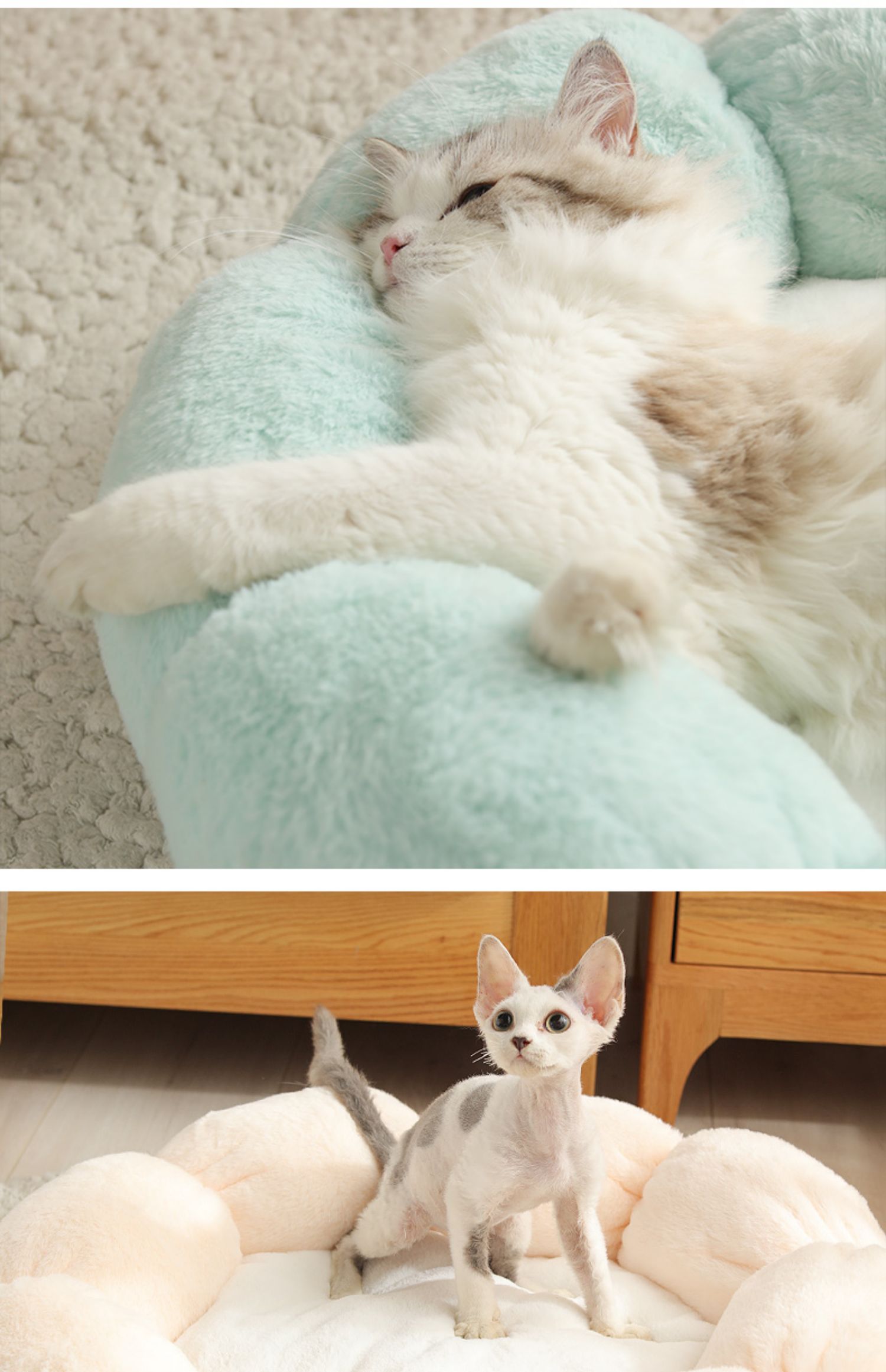 KFX-2986941 Warm Thick Cat Litter with High Resilience Thermal Cotton Filling in Lovely Style