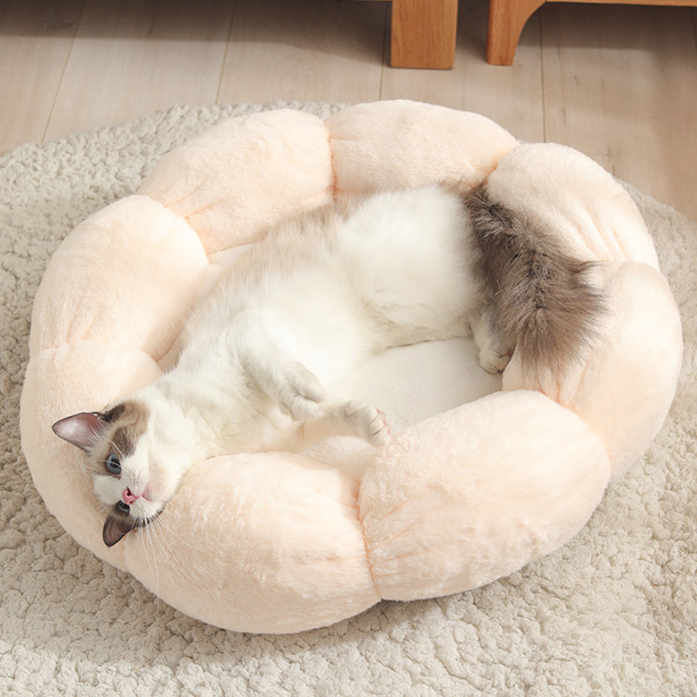 KFX-2986941 Warm Thick Cat Litter with High Resilience Thermal Cotton Filling in Lovely Style