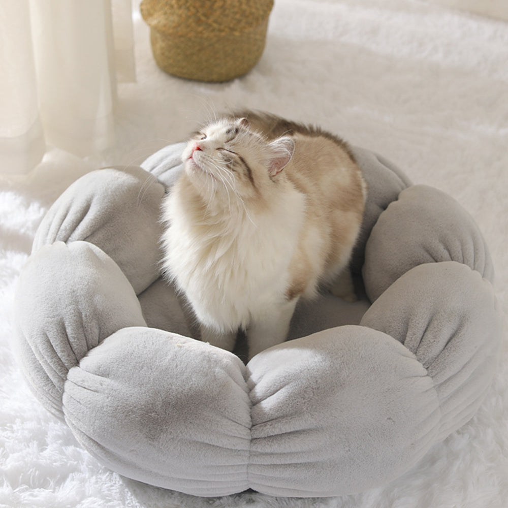 KFX-2986941 Warm Thick Cat Litter with High Resilience Thermal Cotton Filling in Lovely Style