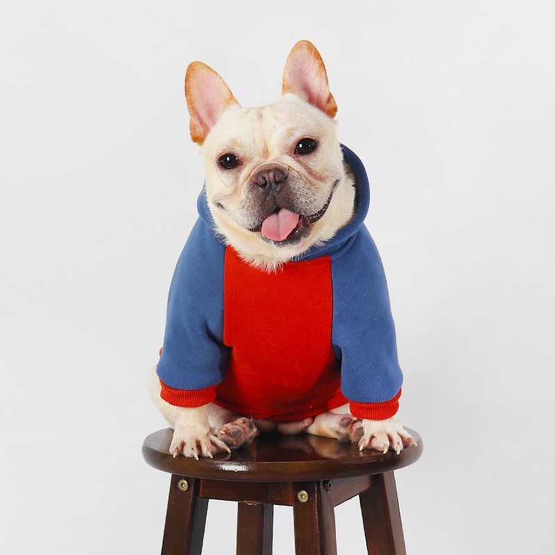 KFX-2987453 Cozy Cotton Coat for Small to Medium Dogs in Red, Perfect for Autumn and Winter