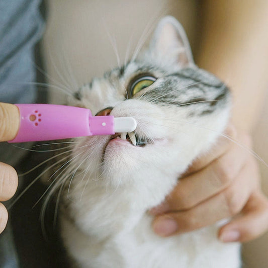 KFX-2988477 Pet Finger Toothbrush for Cats and Dogs - Nylon/Silicone Brush Head in Assorted Colors