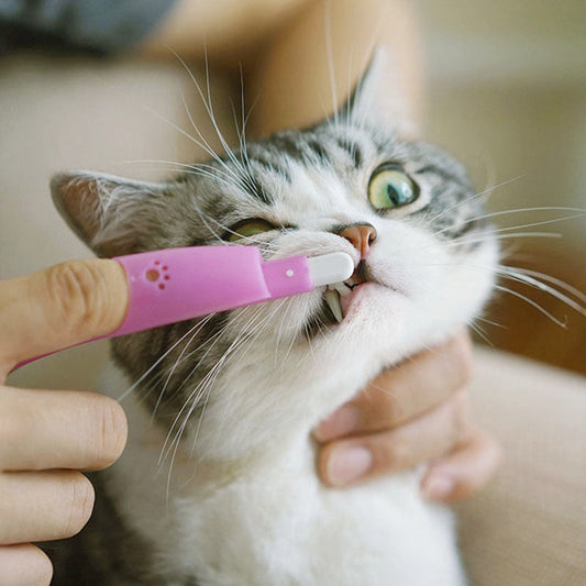 KFX-2988477 Pet Finger Toothbrush for Cats and Dogs - Nylon/Silicone Brush Head in Assorted Colors