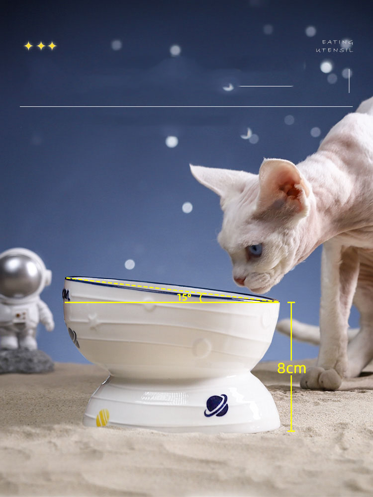 KFX-2988861 Ceramic Slanted Tall Cat Food Bowl with Planet Print - 13.5cm Diameter