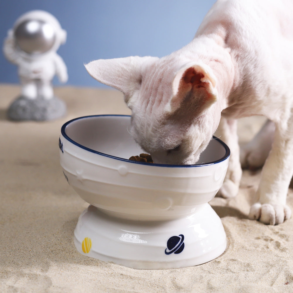 KFX-2988861 Ceramic Slanted Tall Cat Food Bowl with Planet Print - 13.5cm Diameter