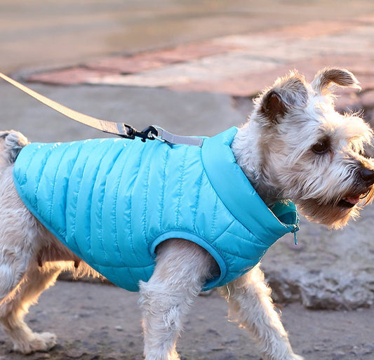 KFX-2998077 Autumn and Winter Full Nylon Zipper Puppy Jacket in Multiple Colors for Dogs