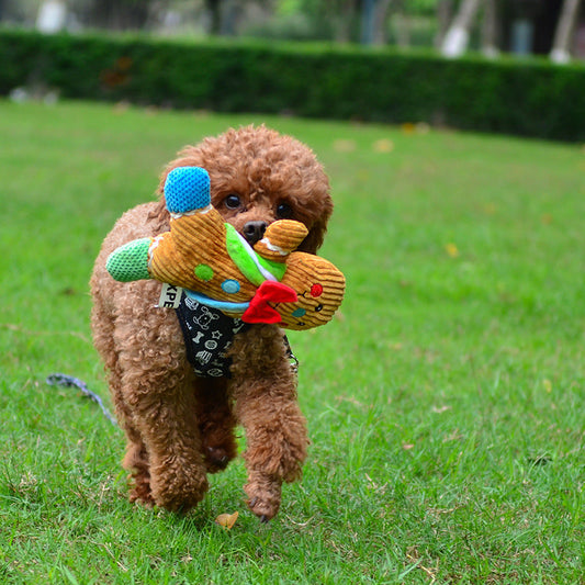 KFX-2999229 Gingerbread Man Plush Dog Toy - Blue & Pink Christmas Sounding Toy (23x20x5cm)