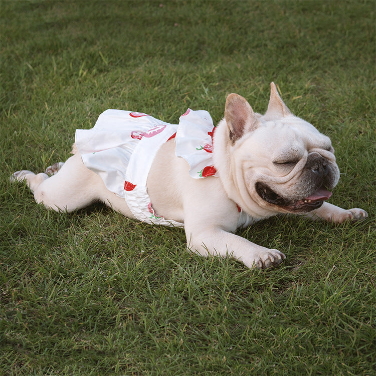 KFX-3002941 Flounce Suspender Skirt in White with Blue Print for Pets