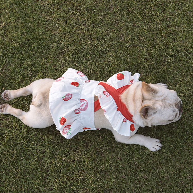 KFX-3002941 Flounce Suspender Skirt in White with Blue Print for Pets