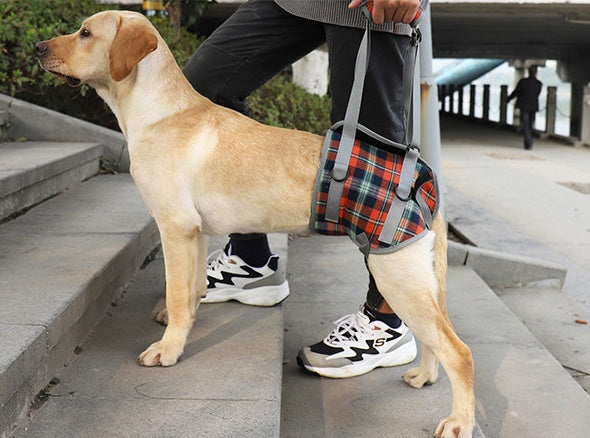 KFX-3003453 Postoperative Rehabilitation Assistive Belt for Dogs - Adjustable Sling for Elderly Pets' Hind Legs
