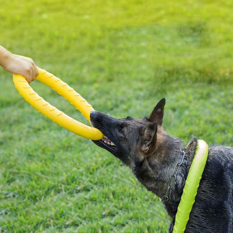 KFX-3004989 Durable EVA Dog Training Pull Ring for Interactive Play and Anxiety Relief
