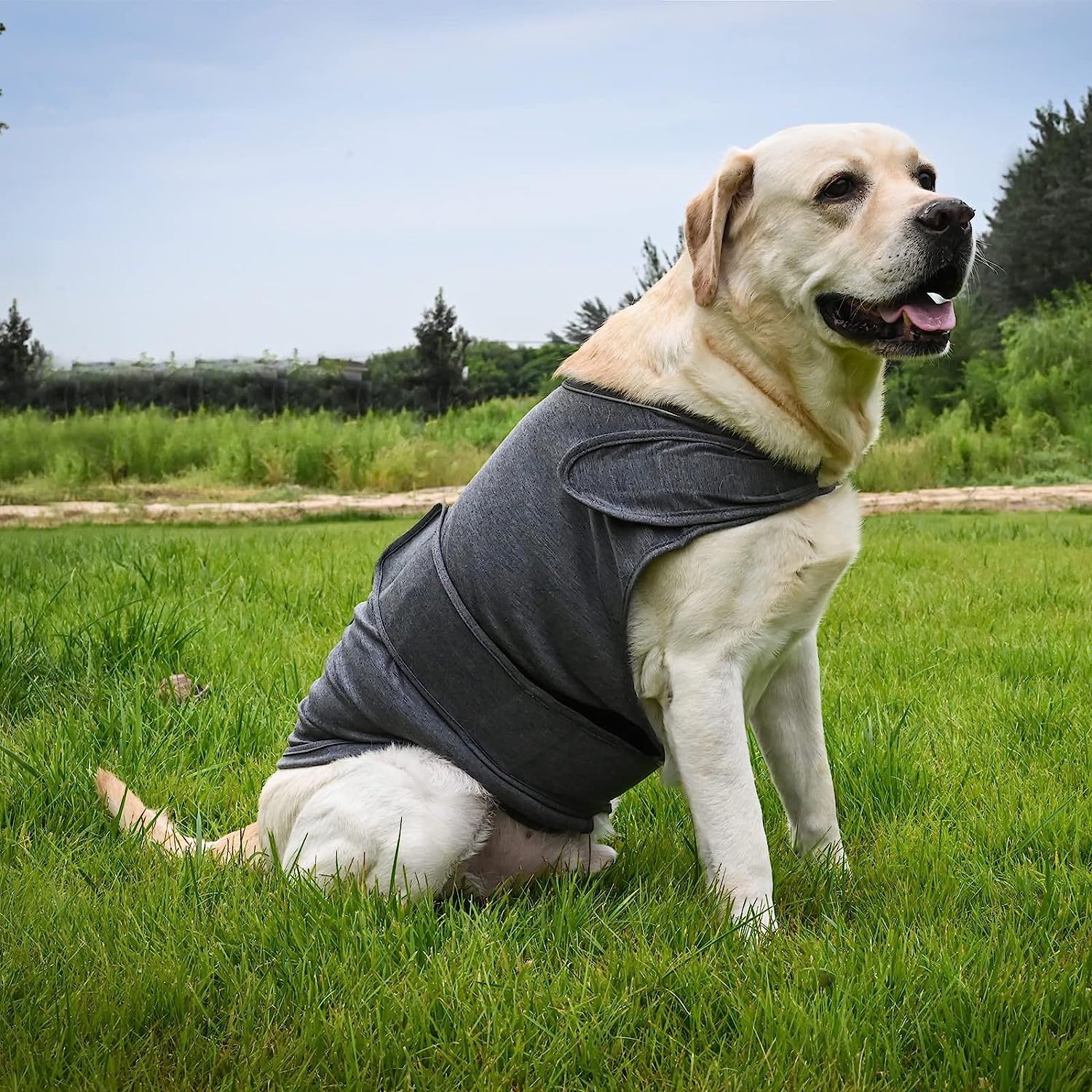 KFX-3009725 Breathable Dog Anxiety Jacket for Stress Relief - Classic Thunder Vest for Dogs