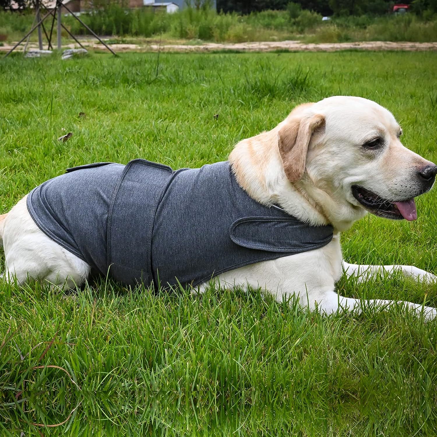 KFX-3009725 Breathable Dog Anxiety Jacket for Stress Relief - Classic Thunder Vest for Dogs