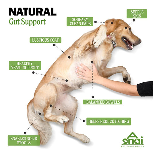 KFX-3009981 Probiotic Chews for Pets - Soft Digestion Support Treats for All Sizes