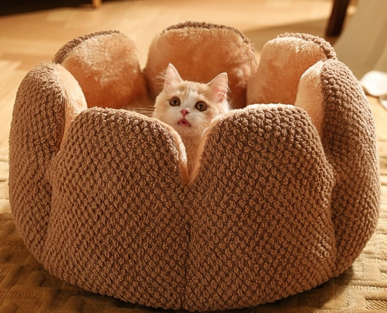 KFX-3013949 Cactus Petal Soft and Cozy Pet Nest in Green, Purple, Grey, and Coffee - Available in Sizes S, M, L