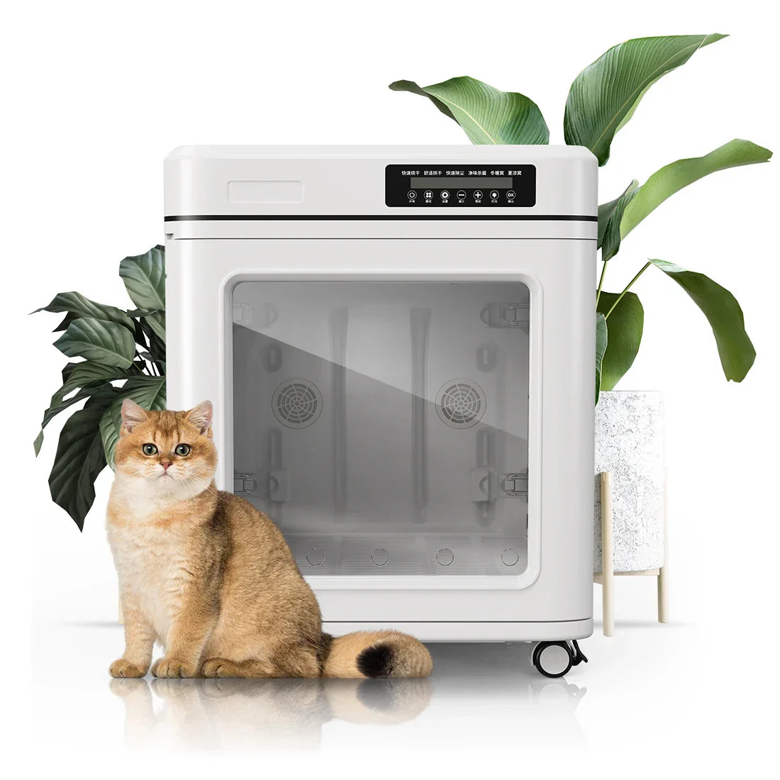 KFX-301715 Large Eco-Friendly Pet Hair Drying Box 100L for Dogs and Cats with Adjustable Temperature and Timing