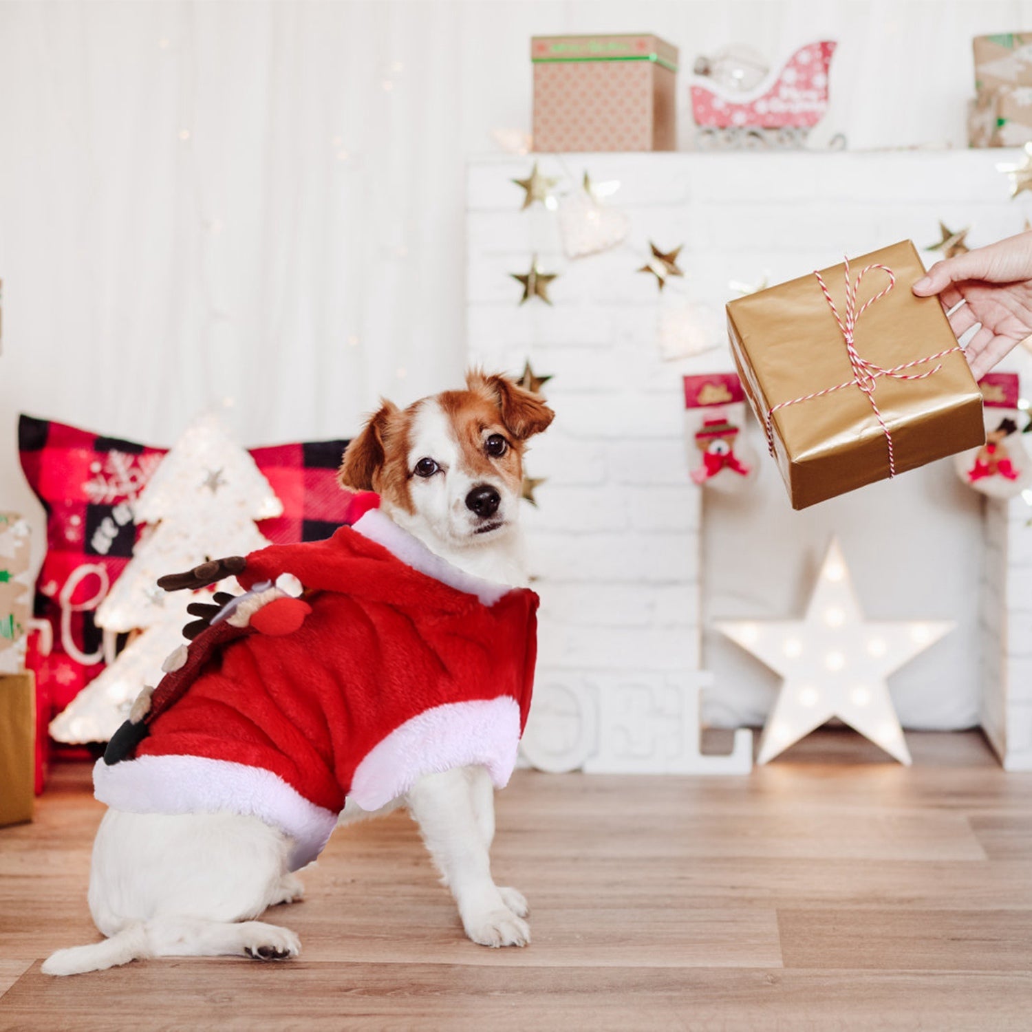 KFX-3020733 Santa Claus Reindeer Antlers Costume for Dogs and Cats - Winter Holiday Outfit Available in Multiple Sizes
