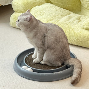 KFX-3022909 Interactive Cat Scratching Board with Ball Track for Indoor Cats - Engaging Toy for Kittens and Adult Cats