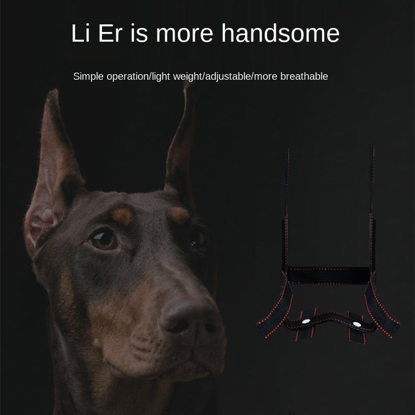 KFX-3024701 Dog Ear Stand - Nylon Ear Correction Artifact for Enhanced Ear Positioning, Available in Multiple Sizes