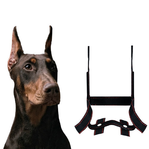 KFX-3024701 Dog Ear Stand - Nylon Ear Correction Artifact for Enhanced Ear Positioning, Available in Multiple Sizes