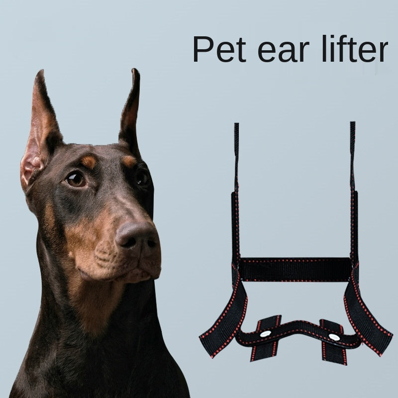KFX-3024701 Dog Ear Stand - Nylon Ear Correction Artifact for Enhanced Ear Positioning, Available in Multiple Sizes