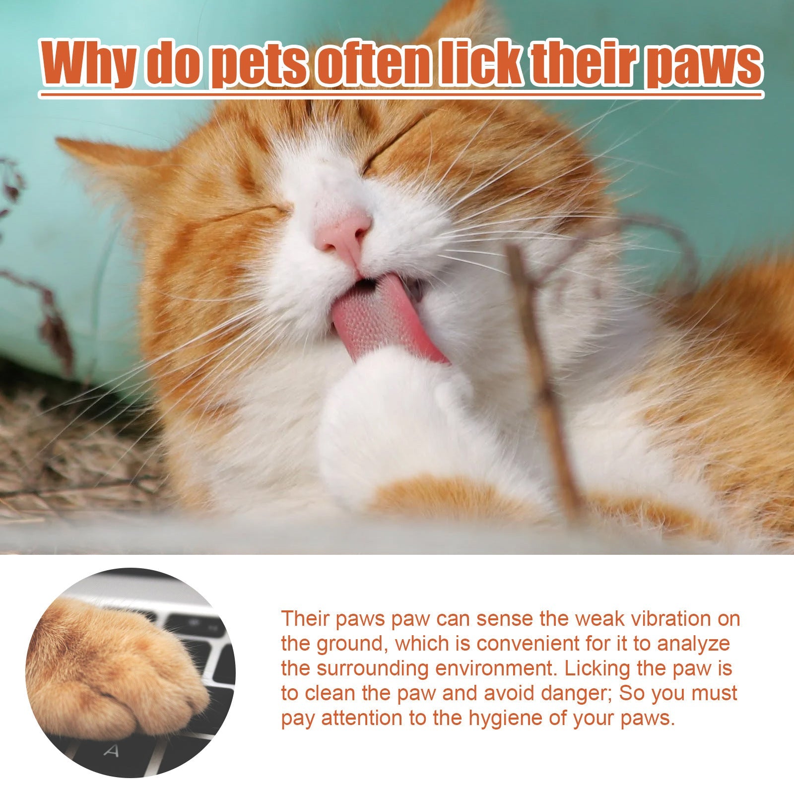 KFX-3027261 Pet Paw Care Cream, 30ml Claw Protection for Cats and Dogs