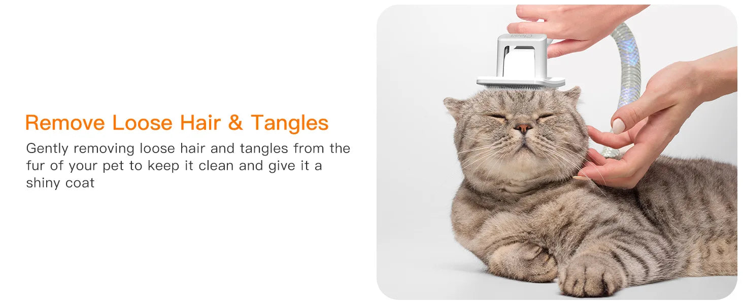 KFX-302867 Eco-Friendly Dual Motor Pet Grooming Set with Suction Control for Cats and Dogs