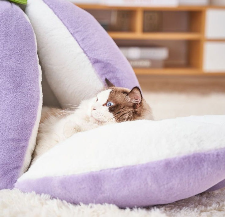 KFX-3031229 Cozy Cotton Cat Nest Bed with Semi-Closed Design in Purple, Available in Small and Large Sizes