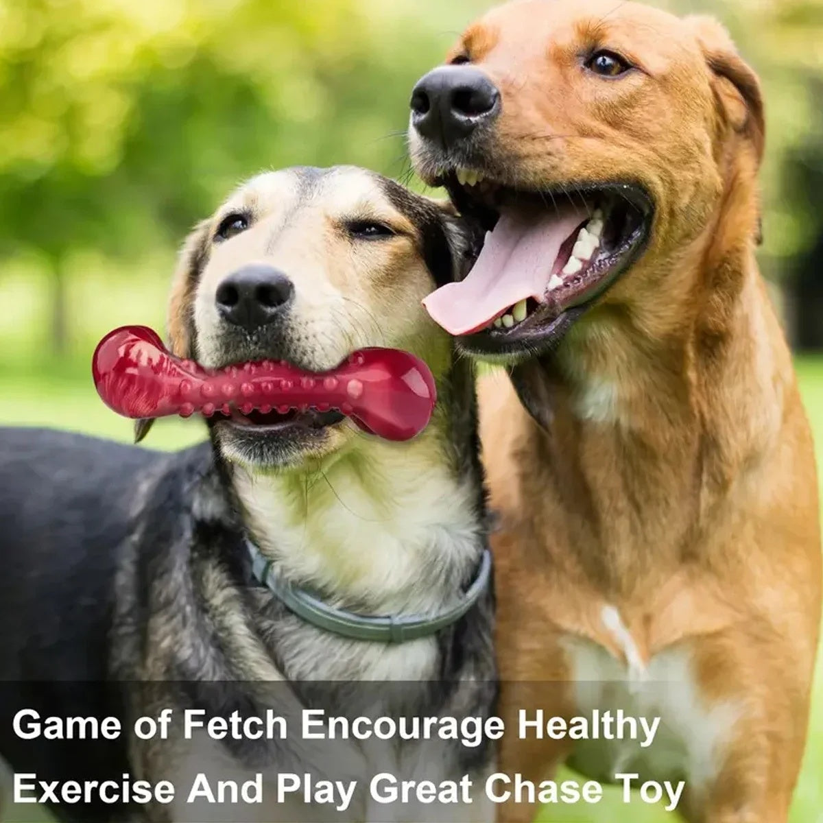 KFX-3034429 Durable Natural Rubber Chew Toy for Aggressive Dogs - Ideal for Heavy Chewing