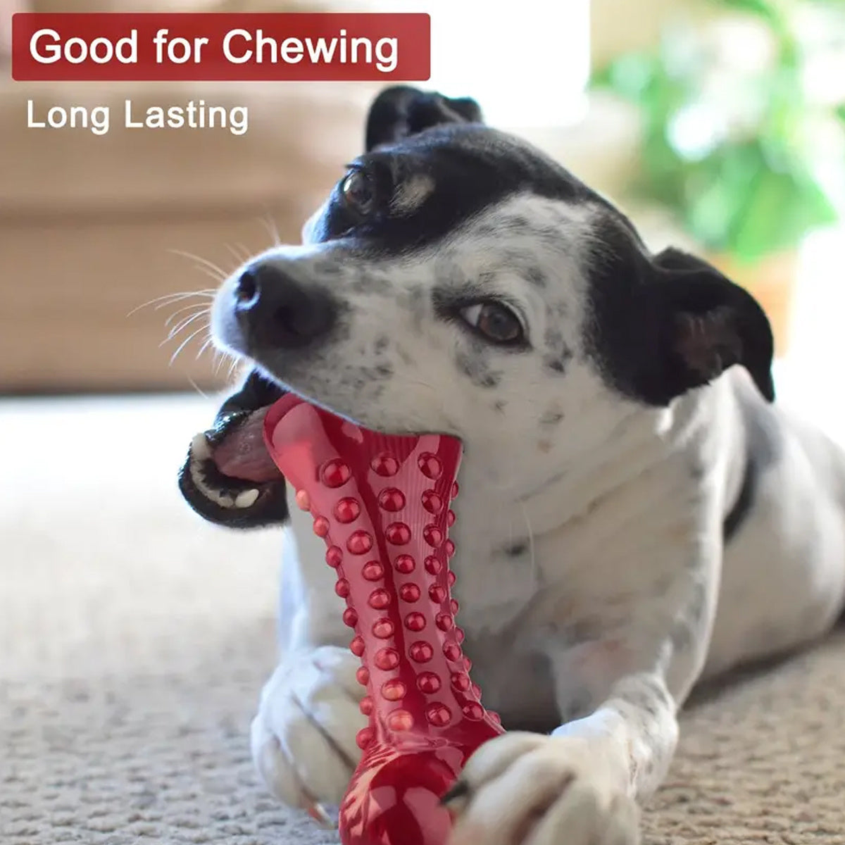 KFX-3034429 Durable Natural Rubber Chew Toy for Aggressive Dogs - Ideal for Heavy Chewing