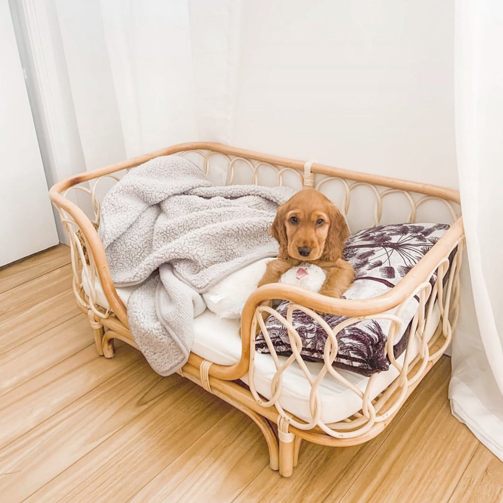 KFX-3035581 Handmade Rattan Woven Pet Bed Sofa for Small and Large Dogs