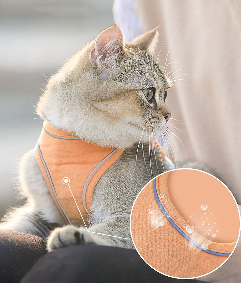 KFX-3036221 Stylish Cat Vest Harness with Walking Rope - Suede Fabric, Adjustable Fit, Safe and Comfortable