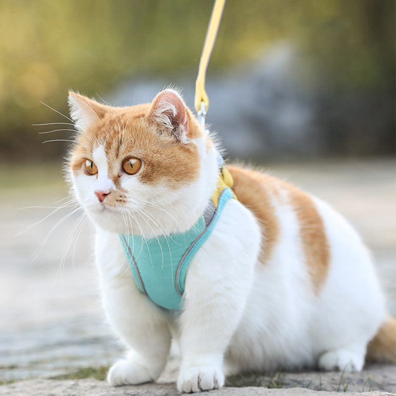 KFX-3036221 Stylish Cat Vest Harness with Walking Rope - Suede Fabric, Adjustable Fit, Safe and Comfortable