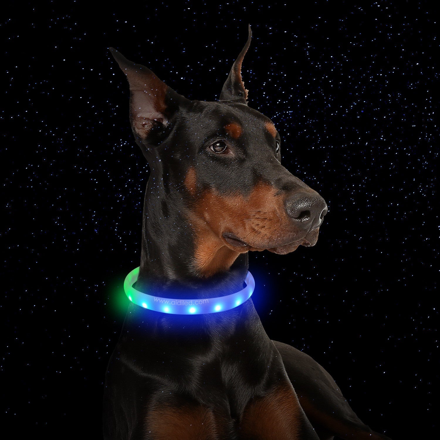 KFX-3038909 USB Rechargeable Anti-Lost Silicone Light-Up Dog Collar - Adjustable Size for Comfort