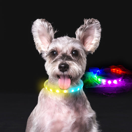 KFX-3038909 USB Rechargeable Anti-Lost Silicone Light-Up Dog Collar - Adjustable Size for Comfort
