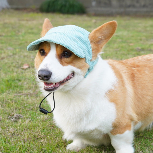 KFX-3039293 Casual Corduroy Hat for Cats and Dogs - Various Colors and Sizes Available