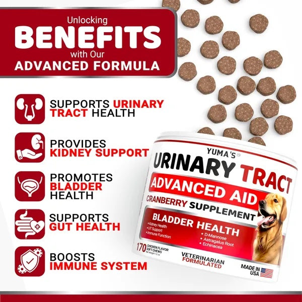 KFX-3042749 Cranberry Chews for Dogs - Natural UTI Support & Bladder Health - 170 Treats