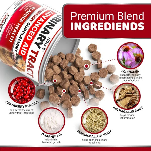 KFX-3042749 Cranberry Chews for Dogs - Natural UTI Support & Bladder Health - 170 Treats