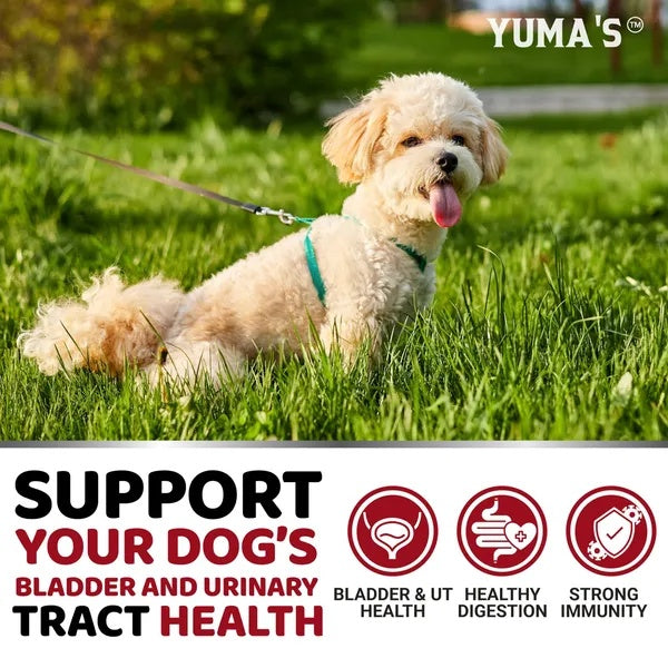 KFX-3042749 Cranberry Chews for Dogs - Natural UTI Support & Bladder Health - 170 Treats